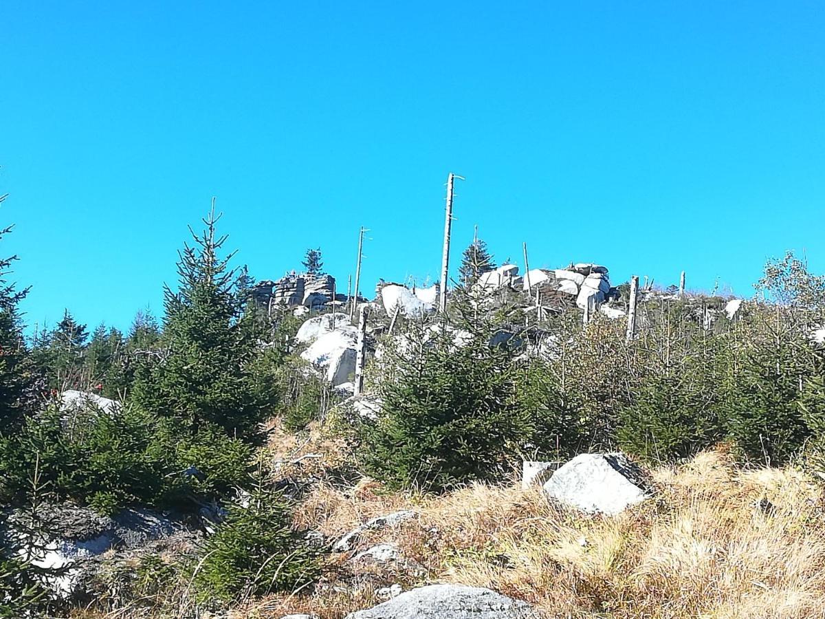 קלפר אם הוכפיכט Ferienhof Schaubmeier מראה חיצוני תמונה